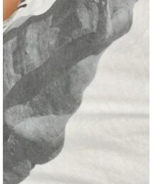 STUSSY | Tシャツ/カットソー