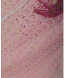 E hyphen world gallery | ニット/セーター