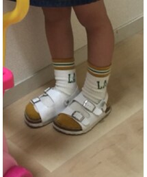 petit main | ソックス/靴下