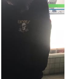 POWELL PERALTA | パーカー