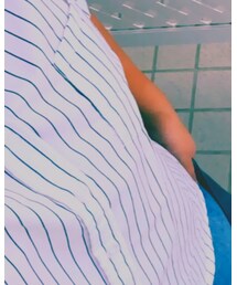 Dickies | ハンドバッグ