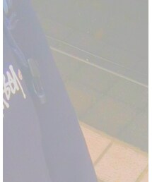 STUSSY | スウェット