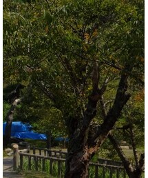 これから頑張るっ‼️╭( ･ㅂ･)و ̑̑ | その他