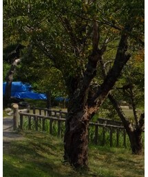 今週末のコーデ、ご期待下さいっ😆 | その他