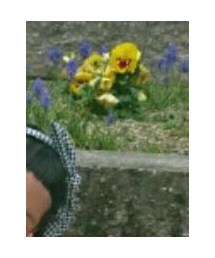 GLOBAL WORK | カチューシャ