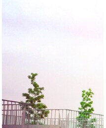 used | デニムパンツ