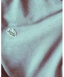 crocodile | Tシャツ/カットソー