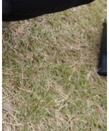 Dr. Martens | シューズ