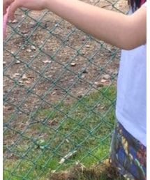 abcd | Tシャツ/カットソー