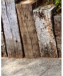 BOOFOOWOO | ソックス/靴下