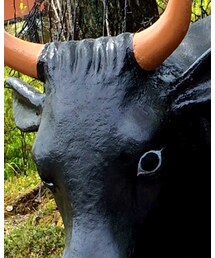 ウッシー🐮 | その他