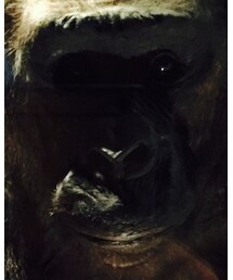 ゴリラ | つなぎ/オールインワン