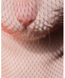 愛媛ミカン | ニットキャップ/ビーニー