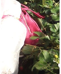 23区 | ハンドバッグ