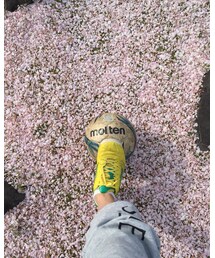 桜のじゅうたんでフットサル | その他