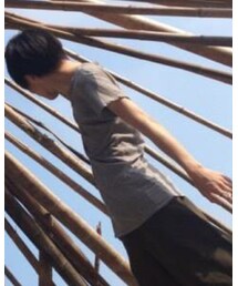 Inpaichthys kerri | Tシャツ/カットソー