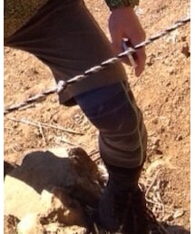 UNDER ARMOUR | レギンス/スパッツ