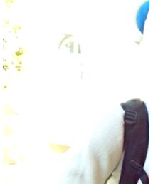 夢の国 | その他