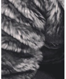 RUSS-K | その他アウター