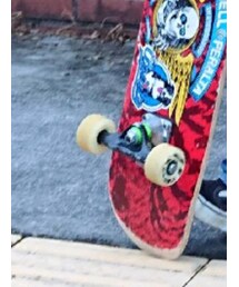 VANS | スニーカー