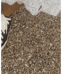 SHOES LIKE POTTERY | スニーカー