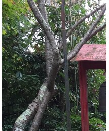 UNIQLO | ニット/セーター