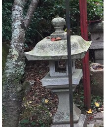 coen | その他パンツ