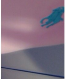 POLO RALPH LAUREN | Tシャツ/カットソー