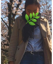 used | マフラー