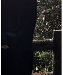 Kujaku | Tシャツ/カットソー