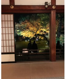 ライトアップ | その他