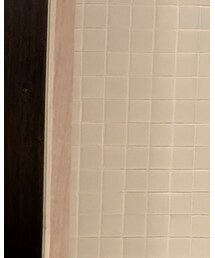 SISE | ダウンジャケット/コート