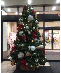 ツリー🎄⭐️ | その他