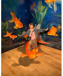 金魚😤 | その他