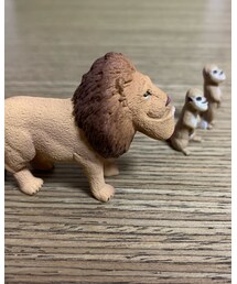 シャクレルライオン🦁 | その他