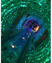 貝殻🐚 | その他