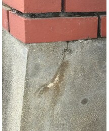 H&H | その他トップス