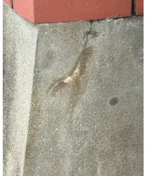 OLD NAVY | シャツ/ブラウス