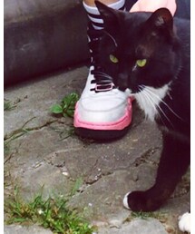 AIR JORDAN | その他シューズ