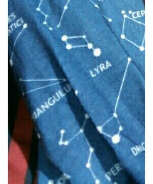 Parade Street | マフラー