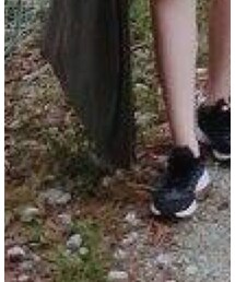 seeds | その他パンツ