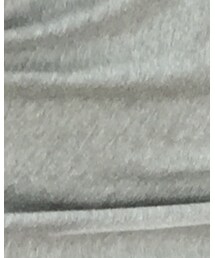 Hollister | Tシャツ/カットソー