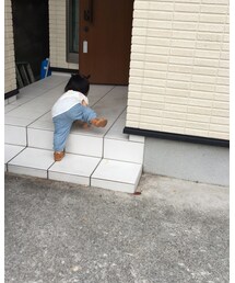 階段を必死に登る姿が癒し😂✨💓 | その他