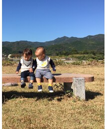 BeBe | Tシャツ/カットソー