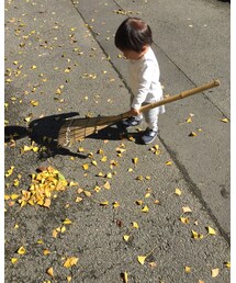 korea | ソックス/靴下