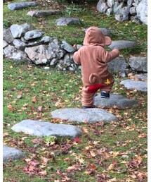 申年⋆ | その他