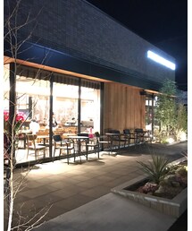 スタバ写真 | その他