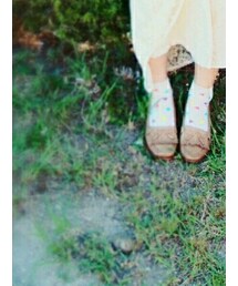 靴下屋 | レッグウェア