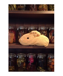 まいかぴ | その他