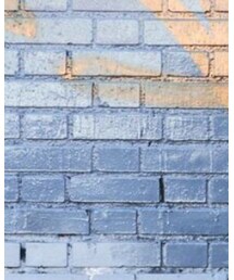 BLK DNM | ムートンコート